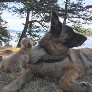 Meet your Posher, Constance